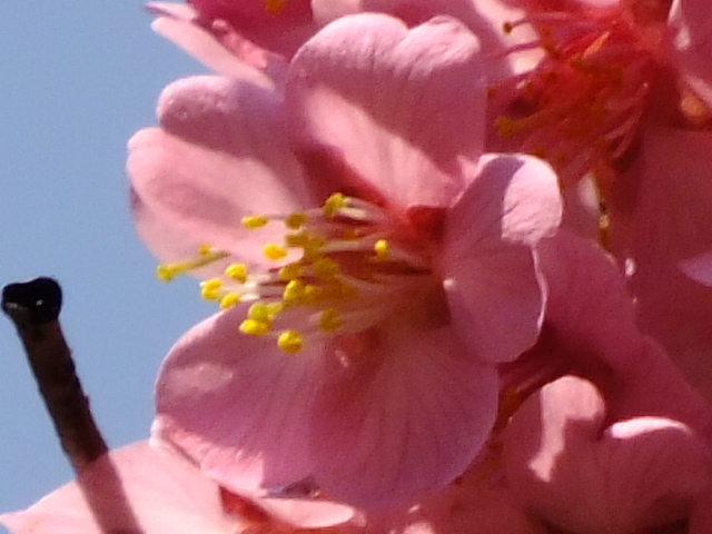 e0145782_2174190.jpg