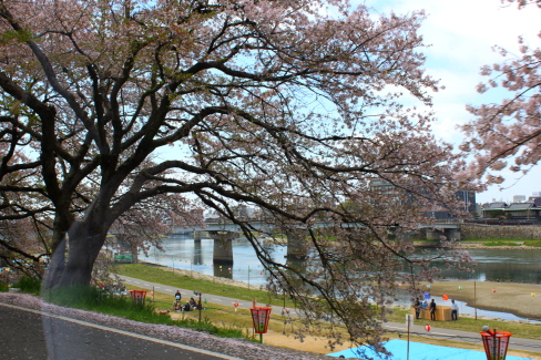 d0129786_15264220.jpg