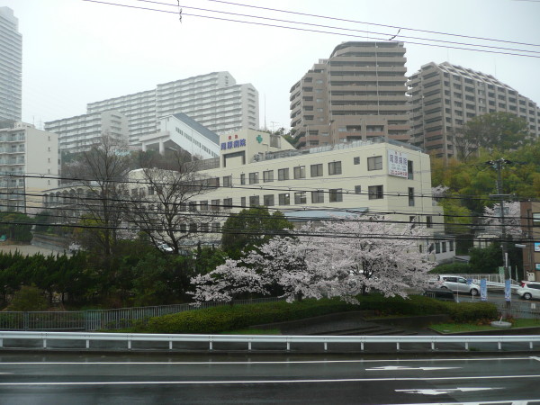 b0118987_639762.jpg