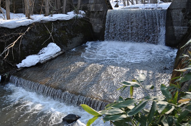 c0240388_1819257.jpg