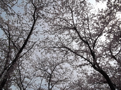 f0235289_9363525.jpg