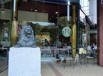 e0023790_0342396.jpg
