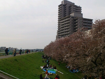 f0202990_20445019.jpg