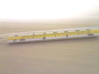 b0039091_1935479.jpg