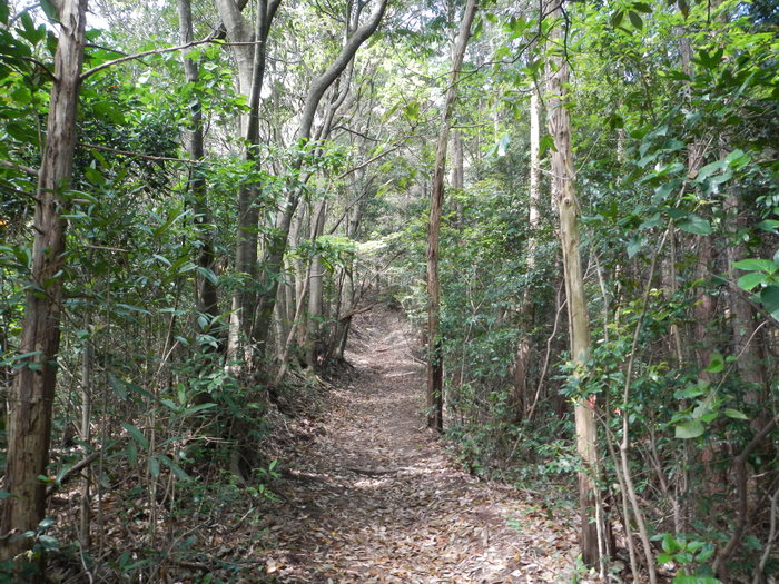 b0177493_21395689.jpg