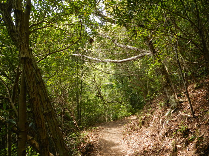 b0177493_21404464.jpg