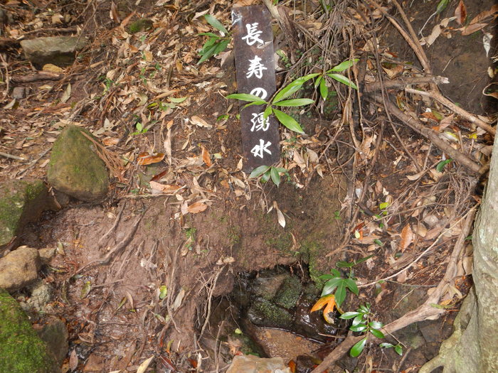 b0177493_2141823.jpg