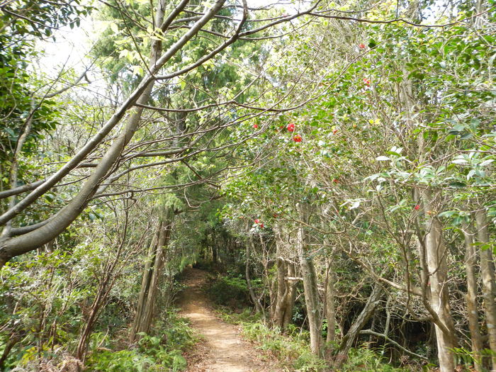 b0177493_21443861.jpg