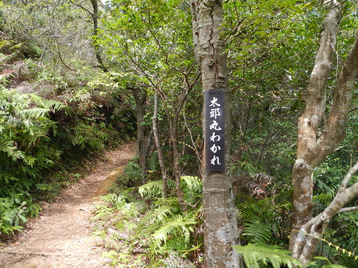 b0177493_2144628.jpg