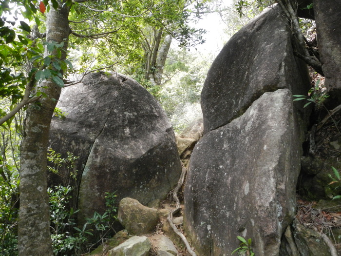 b0177493_2145397.jpg