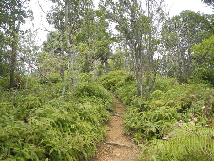 b0177493_21513239.jpg