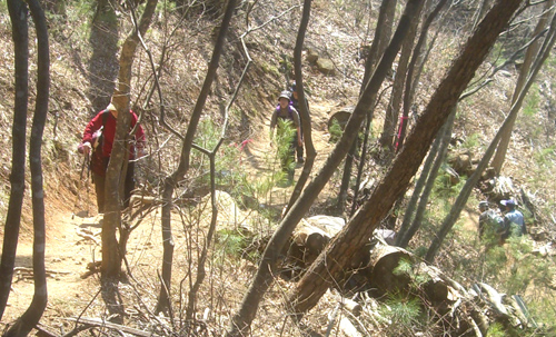 b0099994_15363449.jpg