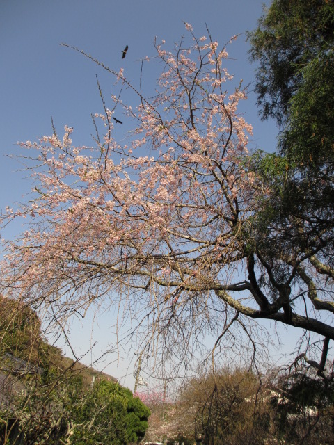 a0193698_2165095.jpg