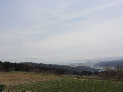 a0061599_22161591.jpg