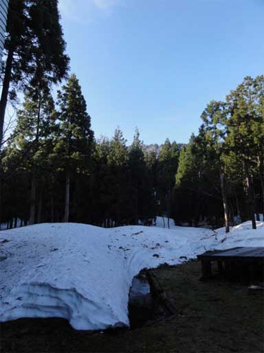 a0061599_6512771.jpg