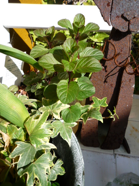 c0220700_151833.jpg