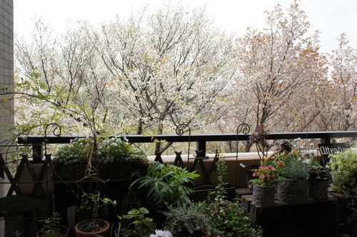c0227800_14343774.jpg