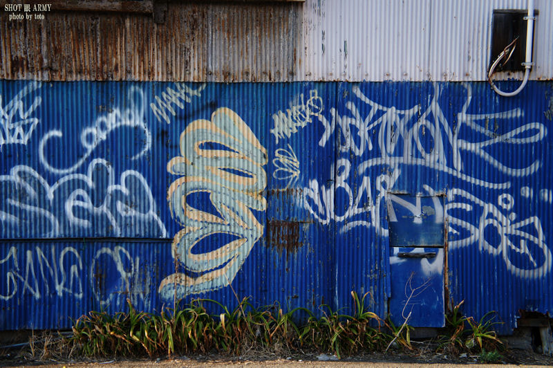 d0085501_2228544.jpg