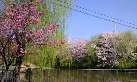 e0007801_0213547.jpg