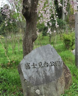 e0007801_113395.jpg