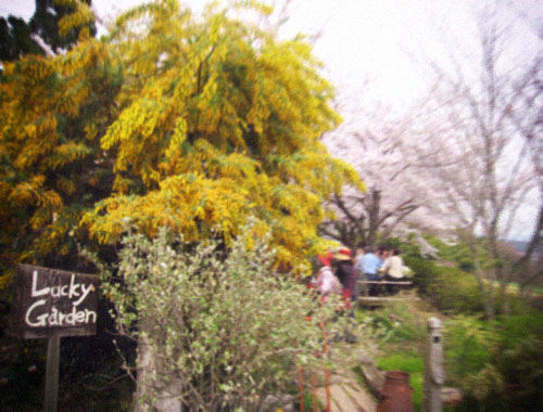 d0077603_13385897.jpg