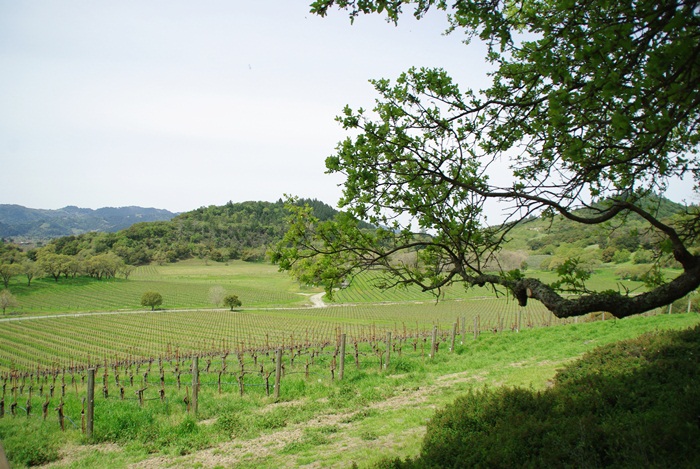 f0038904_1047525.jpg