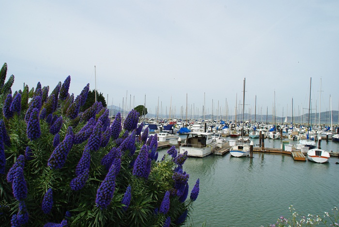 f0038904_1131149.jpg