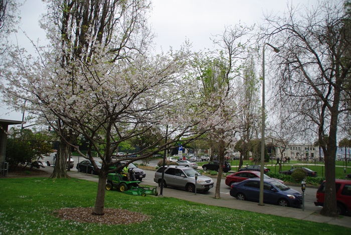 f0038904_16291652.jpg