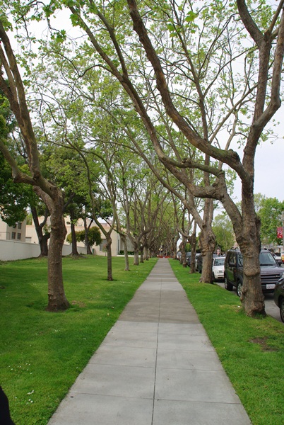 f0038904_1773910.jpg