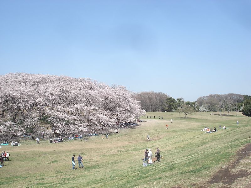 b0148106_211652.jpg