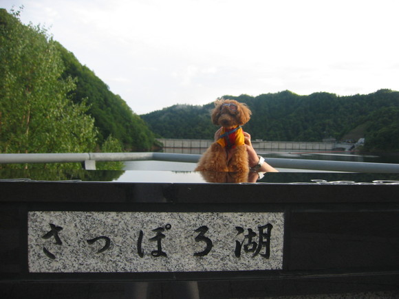 c0110906_16272135.jpg
