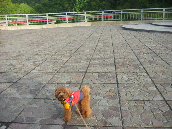 c0110906_16283731.jpg