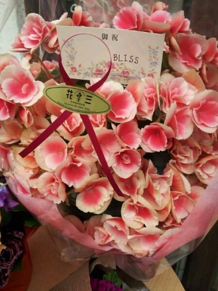 f0180508_166569.jpg