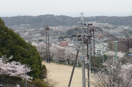 f0221708_19394440.jpg