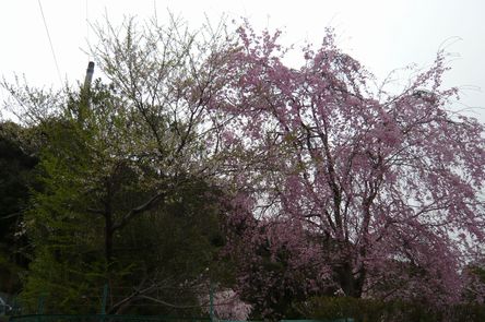 f0221708_19411710.jpg