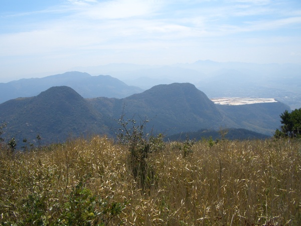 d0198313_1025764.jpg