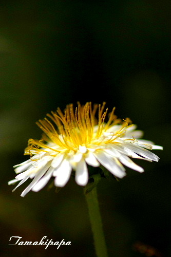 f0212217_20273970.jpg