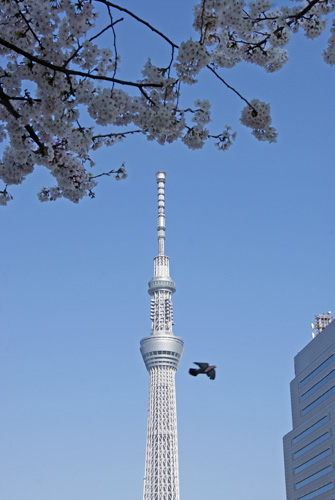 c0184125_21354240.jpg