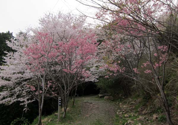 f0147025_2083864.jpg
