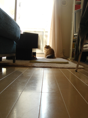 e0157129_201366.jpg