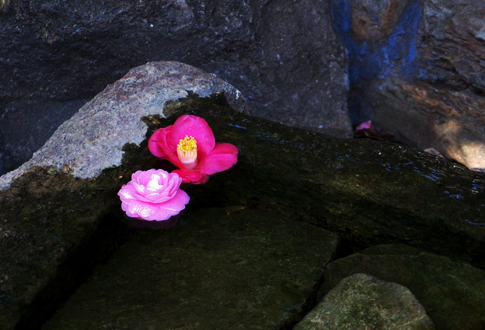 a0253730_22334528.jpg