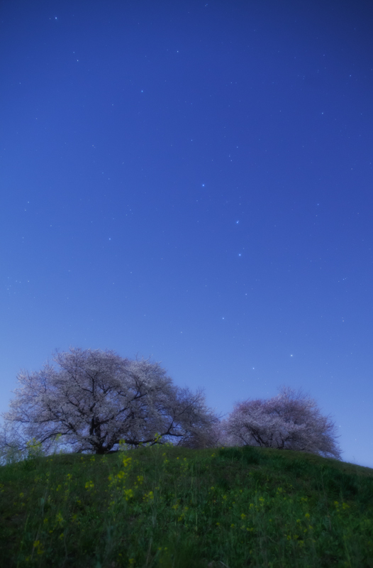 c0216331_22594849.jpg