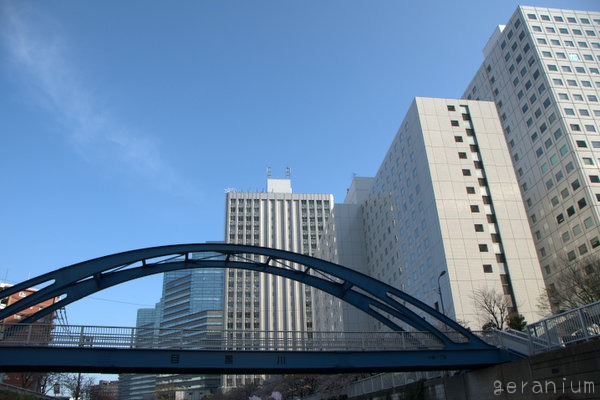 c0133533_222650.jpg