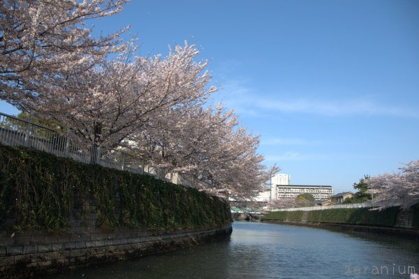 c0133533_2241379.jpg
