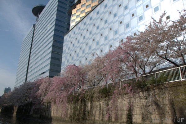 c0133533_2263523.jpg
