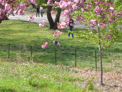 f0200433_751853.jpg