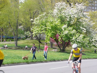f0200433_77683.jpg