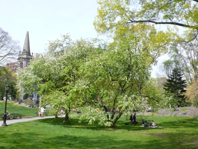 f0200433_78177.jpg