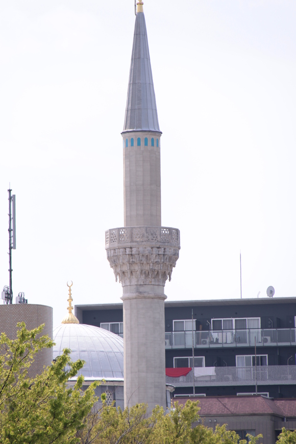 f0217933_101358.jpg
