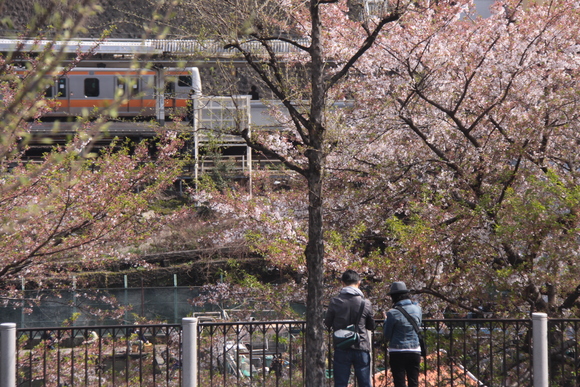f0217933_11495075.jpg
